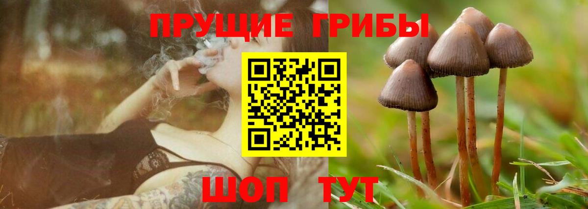 Псилоцибиновые грибы мухоморы  Псилоцибиновые грибы мицелий  Реж  Вход с VPN 